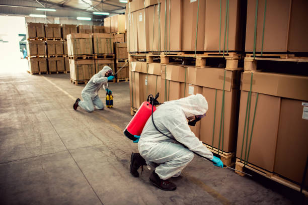 Best Ant Control Services  in Hibbing, MN