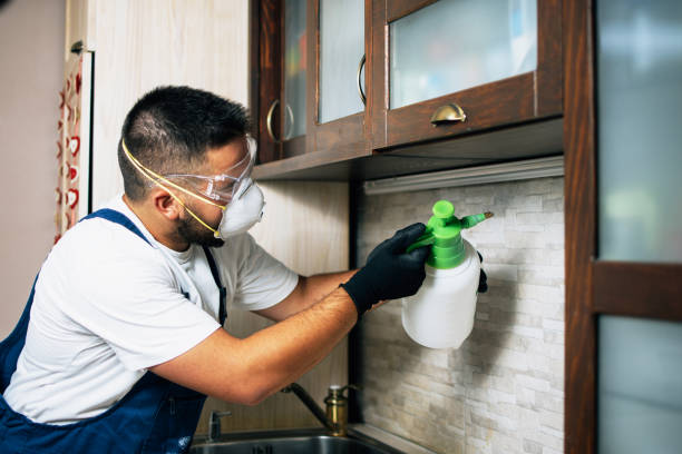 Best Exterminator Services  in Hibbing, MN