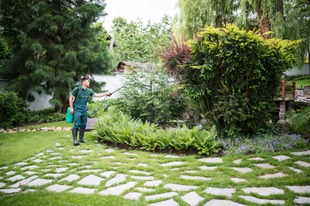 Best Commercial Pest Control Services  in Hibbing, MN