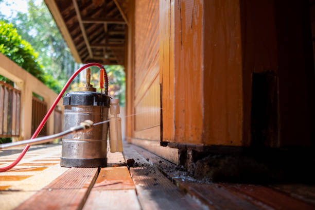 Best Pest Removal Services  in Hibbing, MN