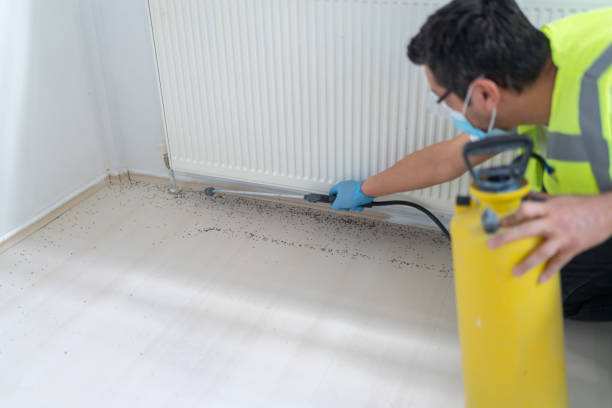 Best Pest Control Cost  in Hibbing, MN